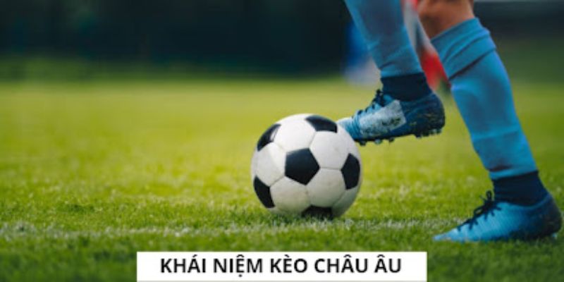 Khái niệm dễ hiểu nhất về loại Kèo châu Âu cho tân binh